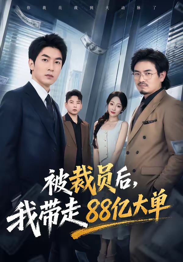被裁员后，我带走88亿大单海报