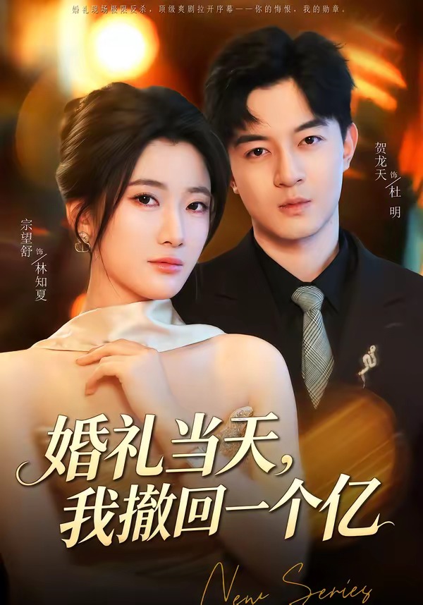 婚礼当天，我撤回一个亿海报