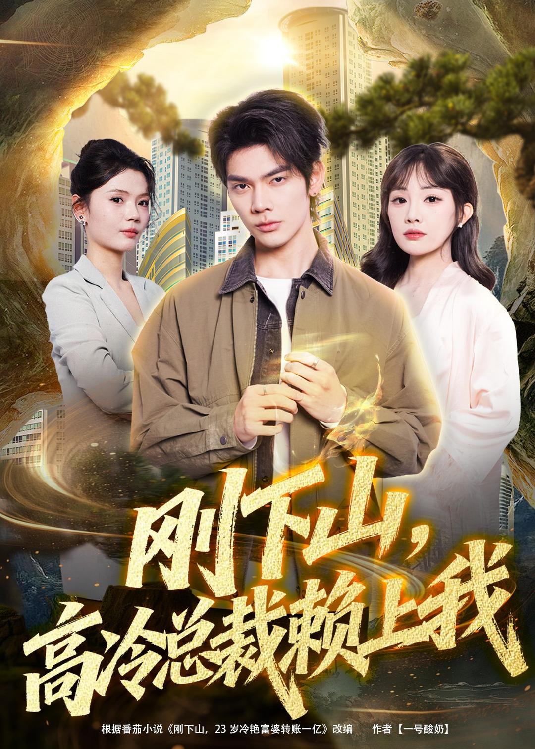 刚下山，高冷总裁赖上我海报