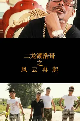 二龙湖浩哥之风云再起[电影解说]海报