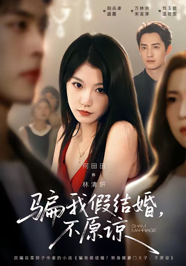 骗我假结婚，不原谅海报