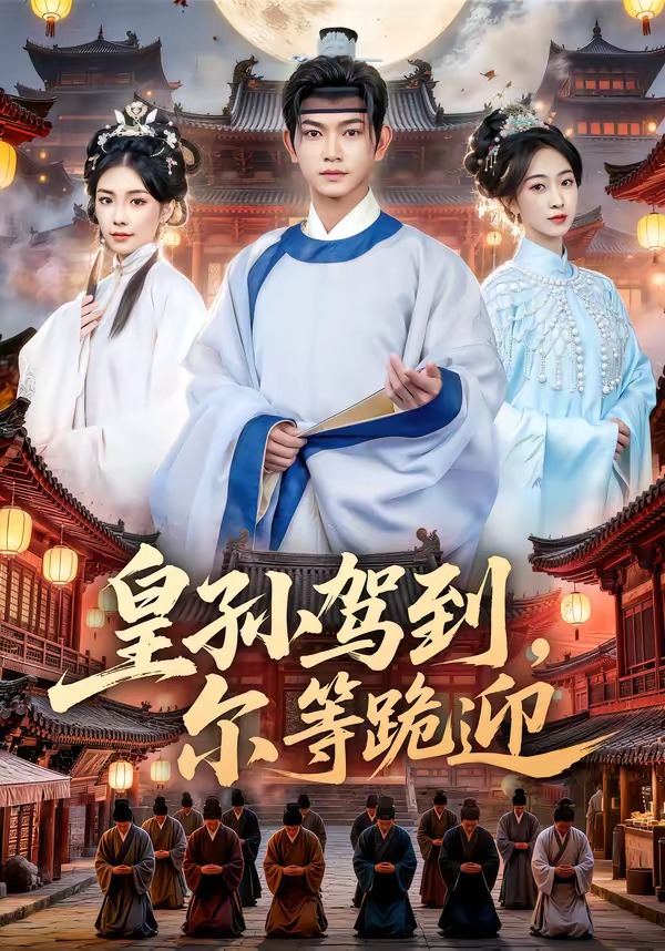皇孙驾到，尔等跪迎海报