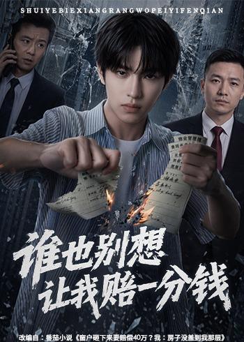 谁也别想让我赔一分钱海报