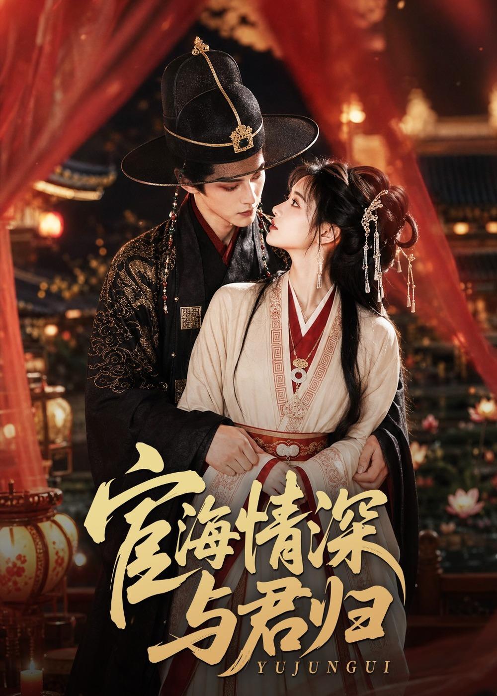 宦海情深与君归海报