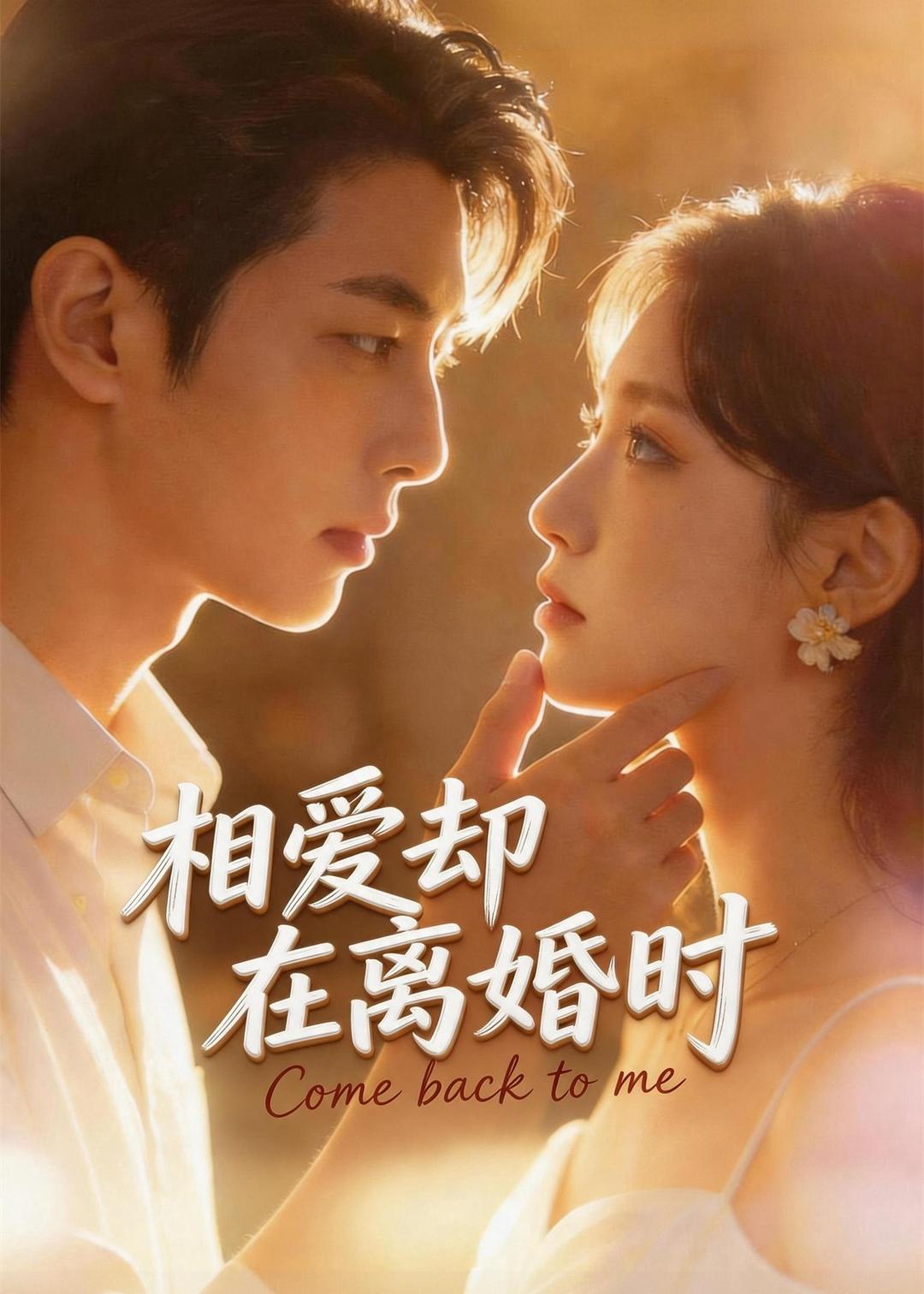 相爱却在离婚时海报