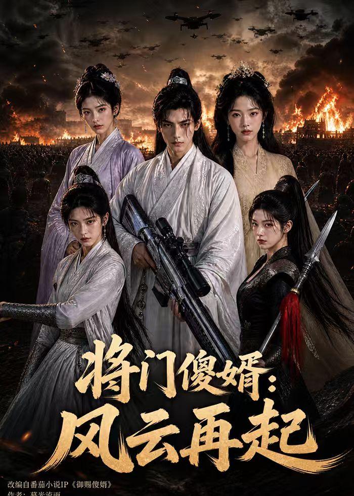 将门傻婿：风云再起海报