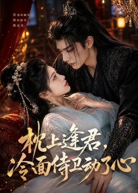 枕上逢君，冷面侍卫动了心海报