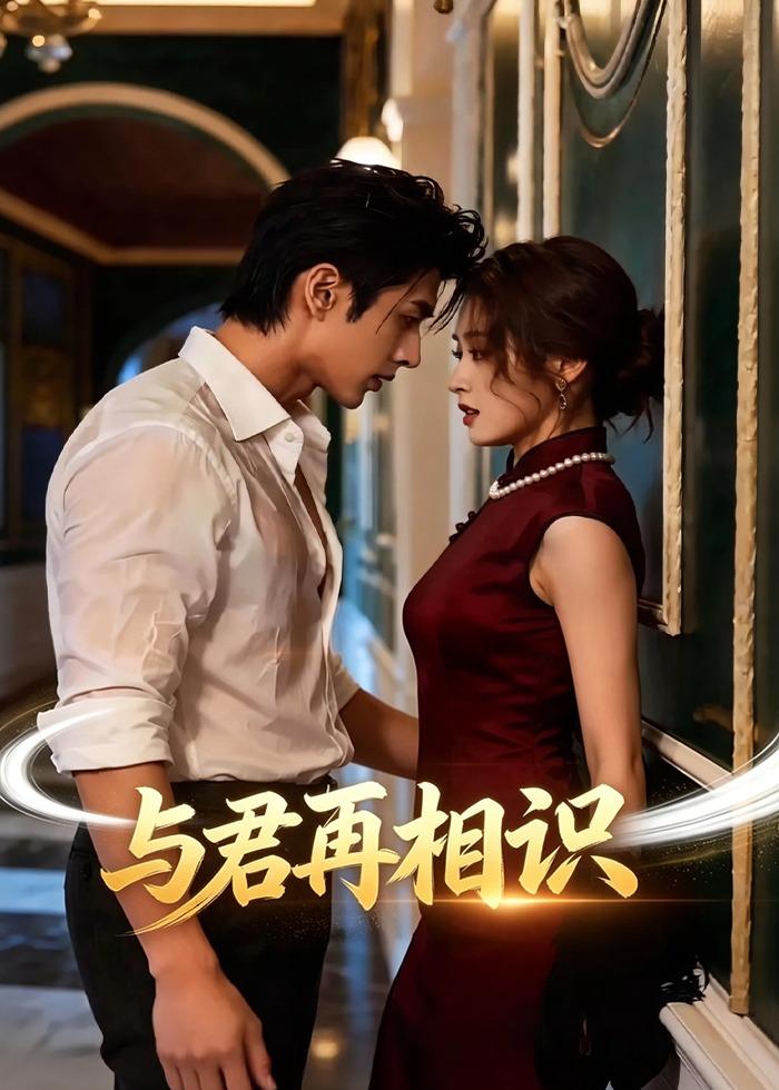 与君再相识海报