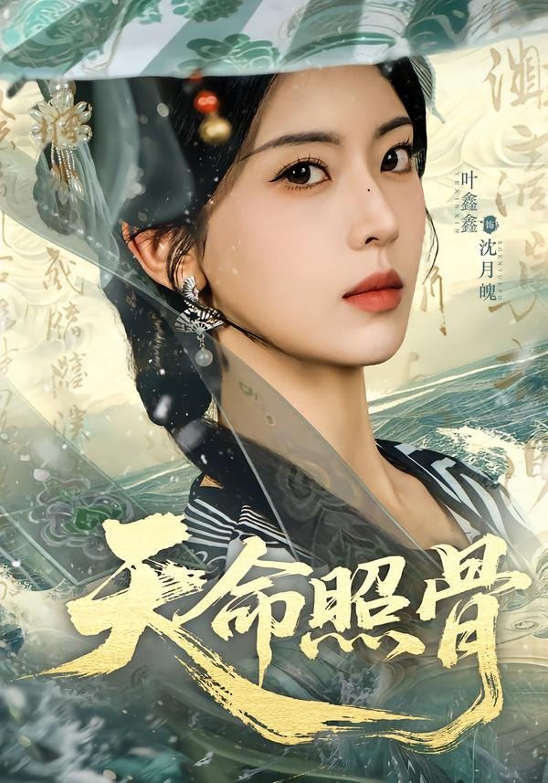 天命照骨海报