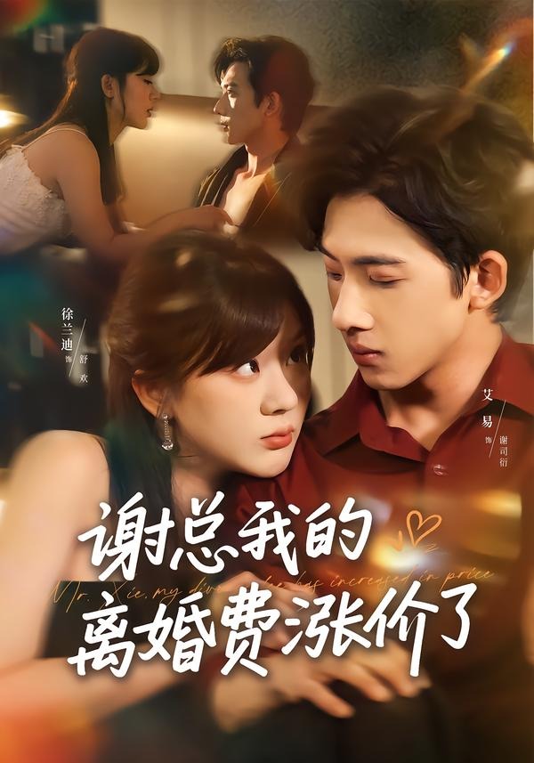 谢总我的离婚费涨价了海报