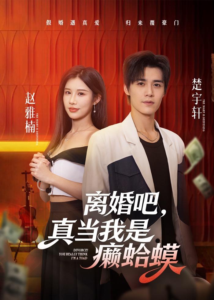 离婚吧，真当我是癞蛤蟆海报