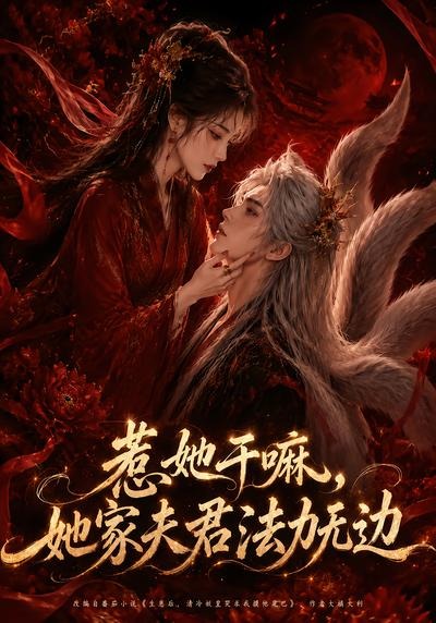 惹她干嘛，她家夫君法力无边海报