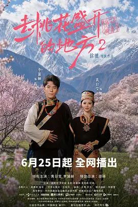 去桃花盛开的地方2海报