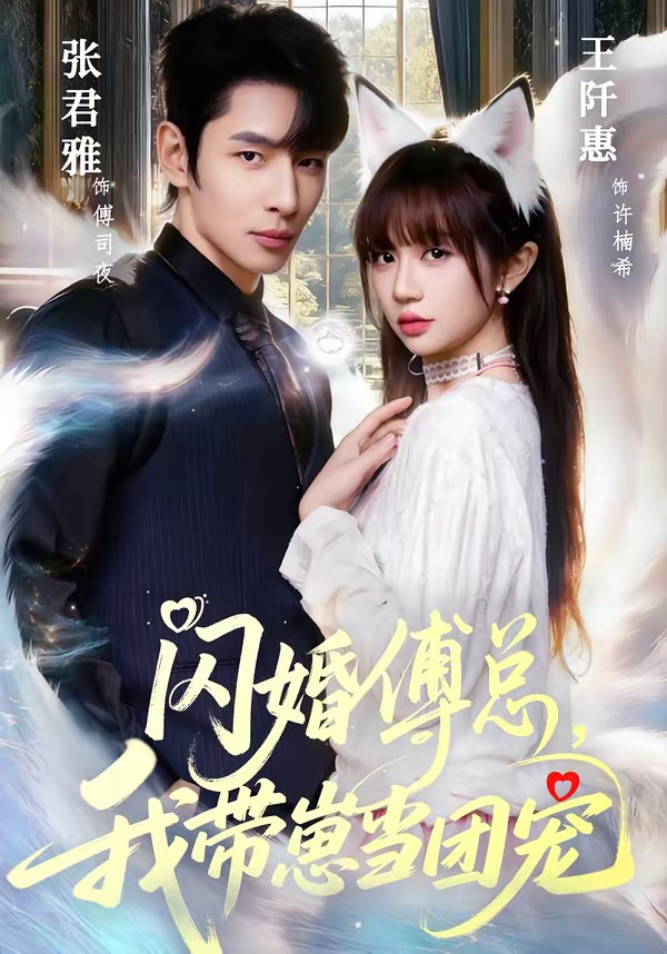 闪婚傅总，我带崽当团宠海报