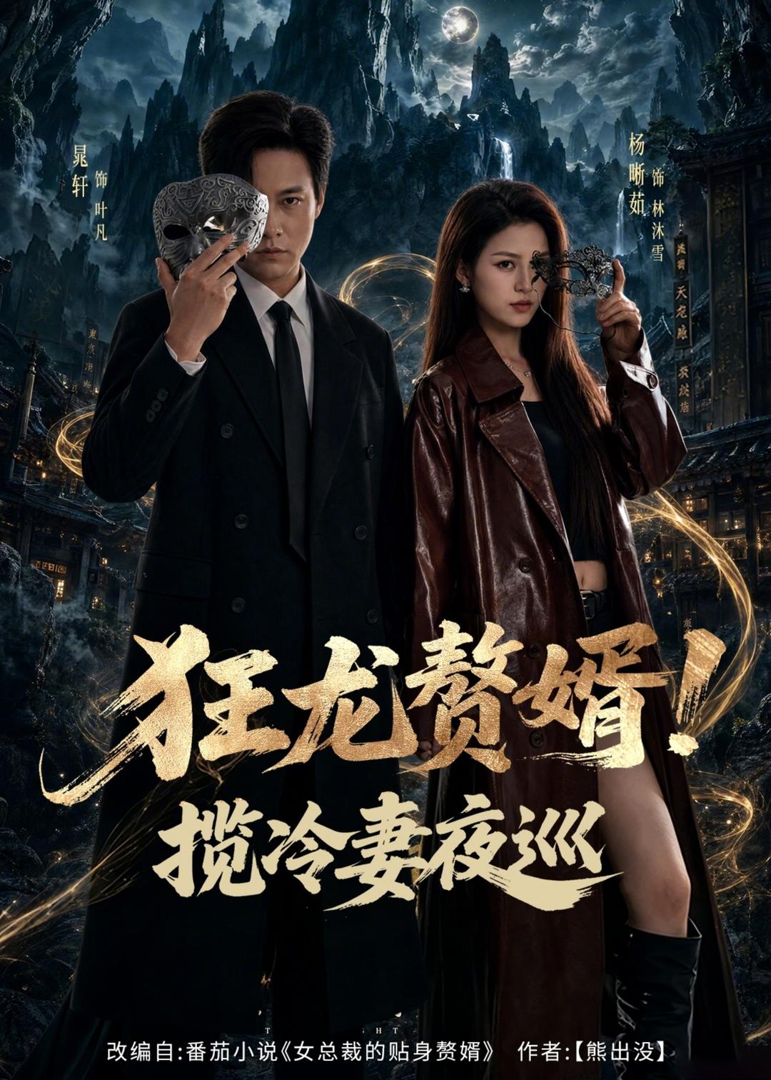 狂龙赘婿！揽冷妻夜巡海报