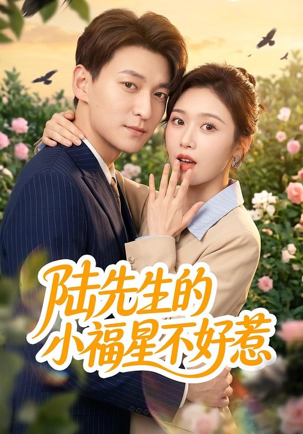 陆先生的小福星不好惹海报