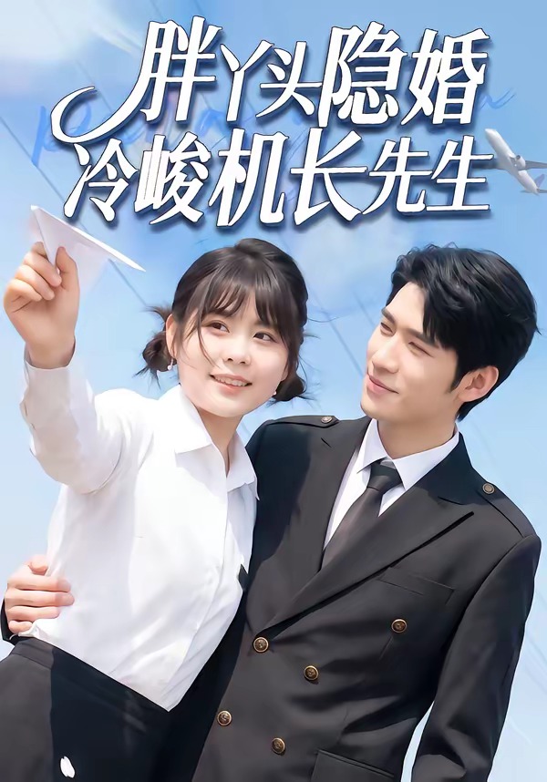 胖丫头隐婚冷峻机长先生海报
