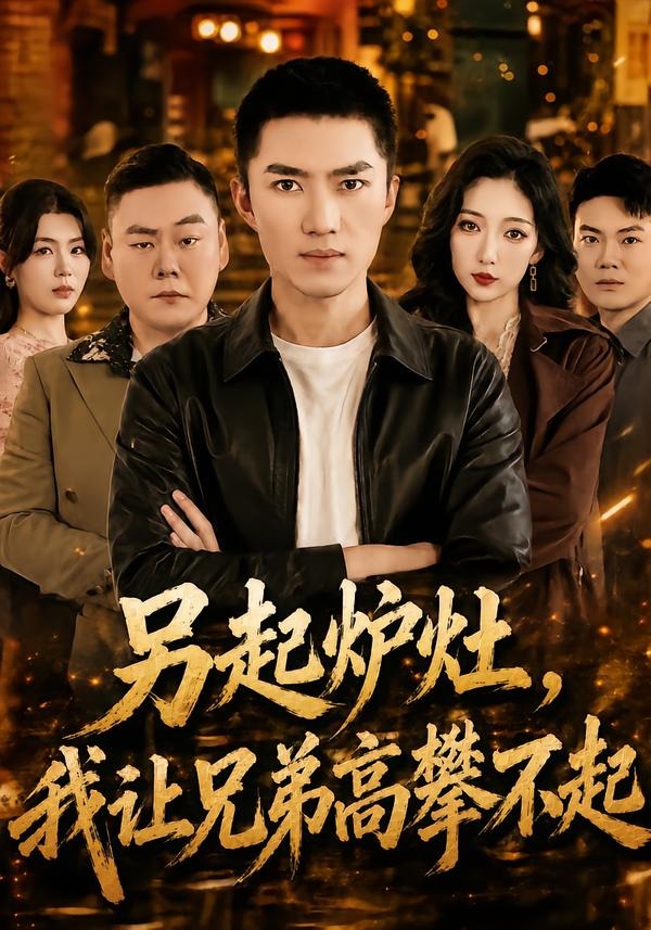 另起炉灶，我让兄弟高攀不起海报