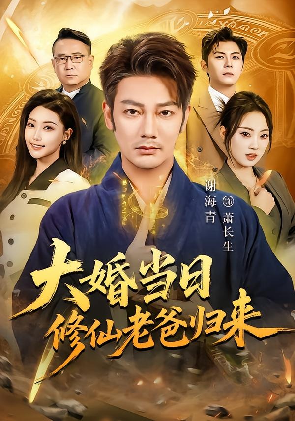 大婚当日修仙老爸归来海报