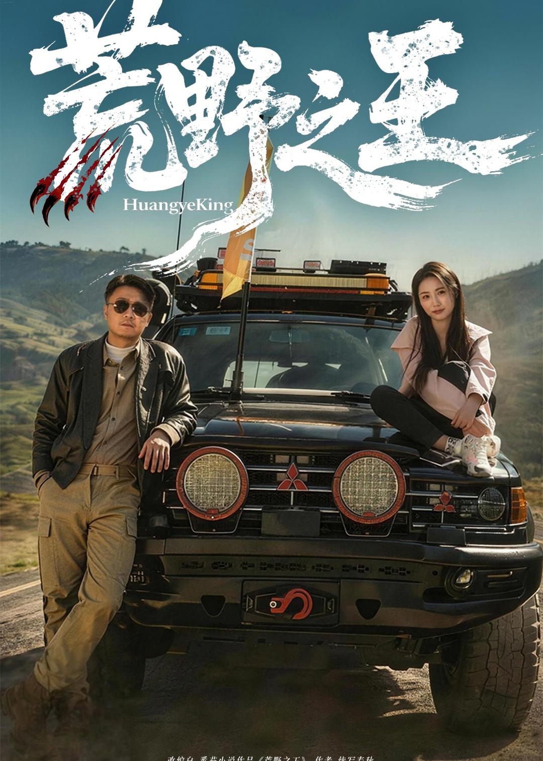 荒野之王海报