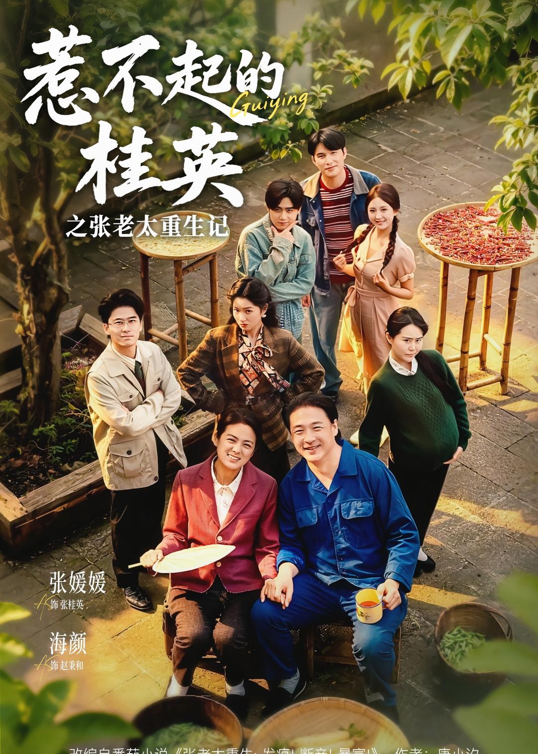 惹不起的桂英之张老太重生记海报