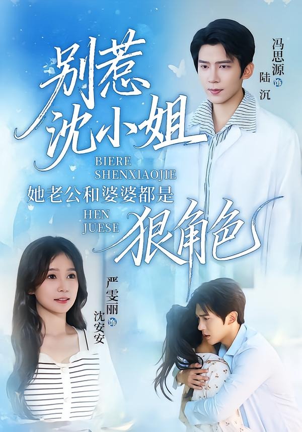 别惹沈小姐她老公和婆婆都是狠角色海报