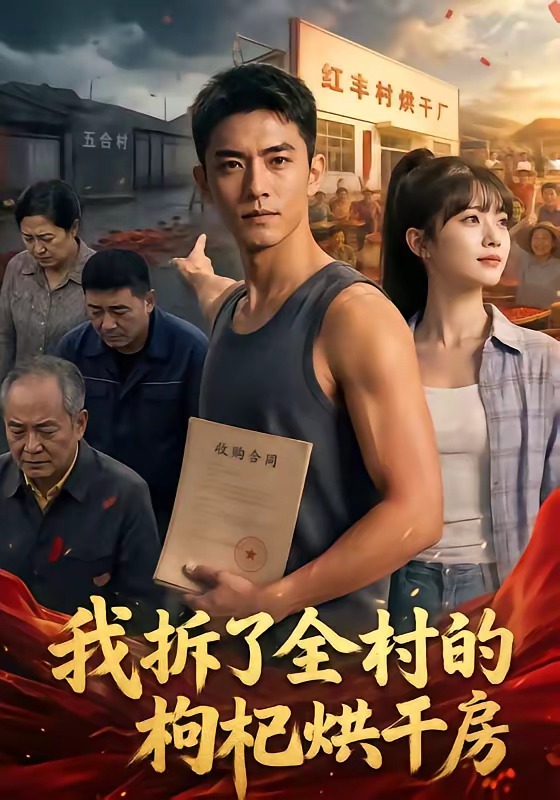 我拆了全村的枸杞烘干房海报