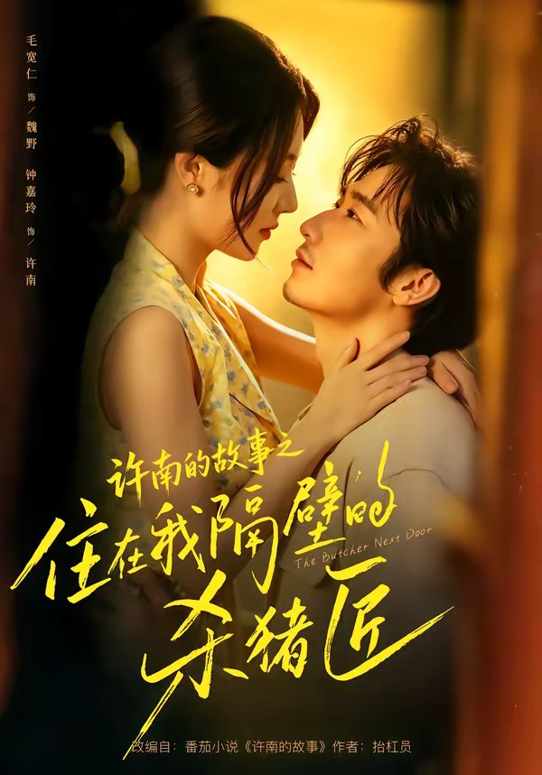 许南的故事之住在我隔壁的杀猪匠海报