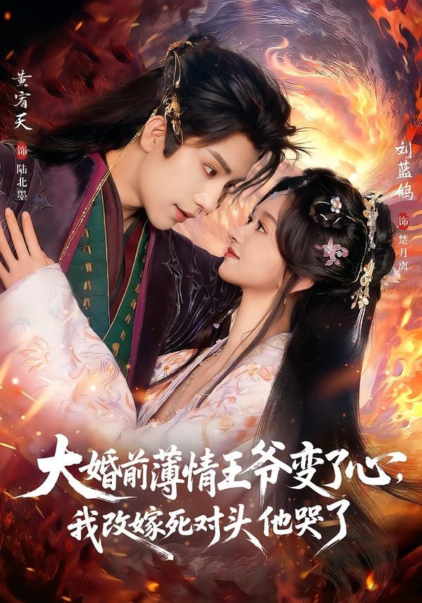 大婚前薄情王爷变了心，我改嫁死对头他哭了海报