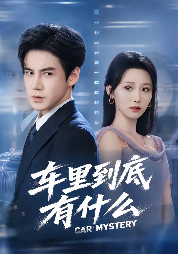 车里到底有什么海报
