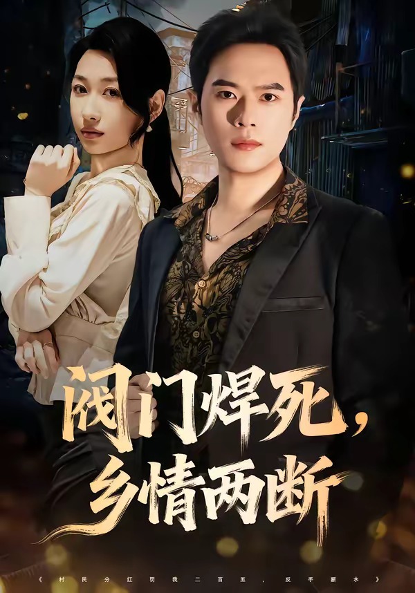 阀门焊死，乡情两断海报