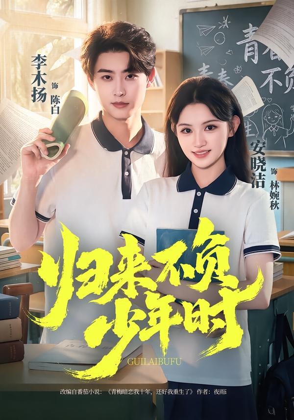 归来不负少年时海报
