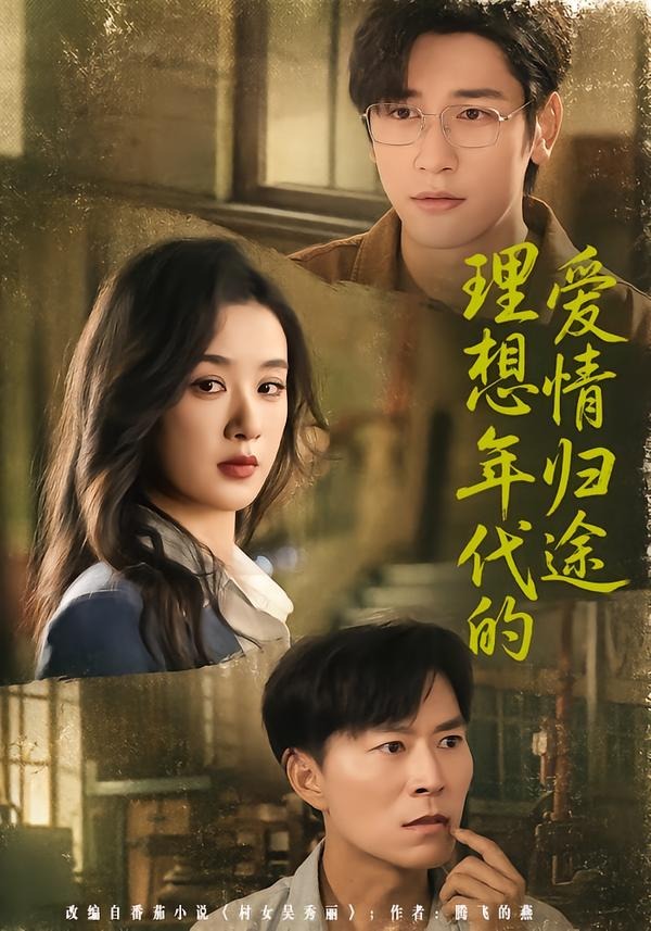 理想年代的爱情归途海报