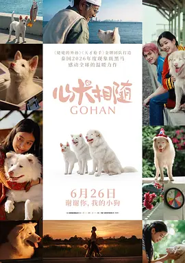 心犬相随[电影解说]海报