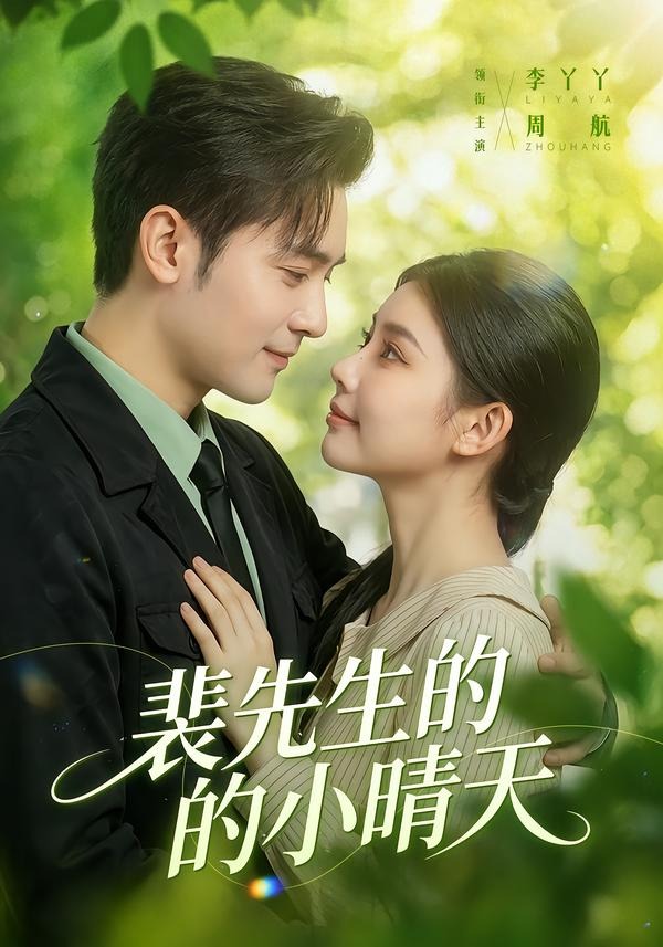 裴先生的小晴天海报