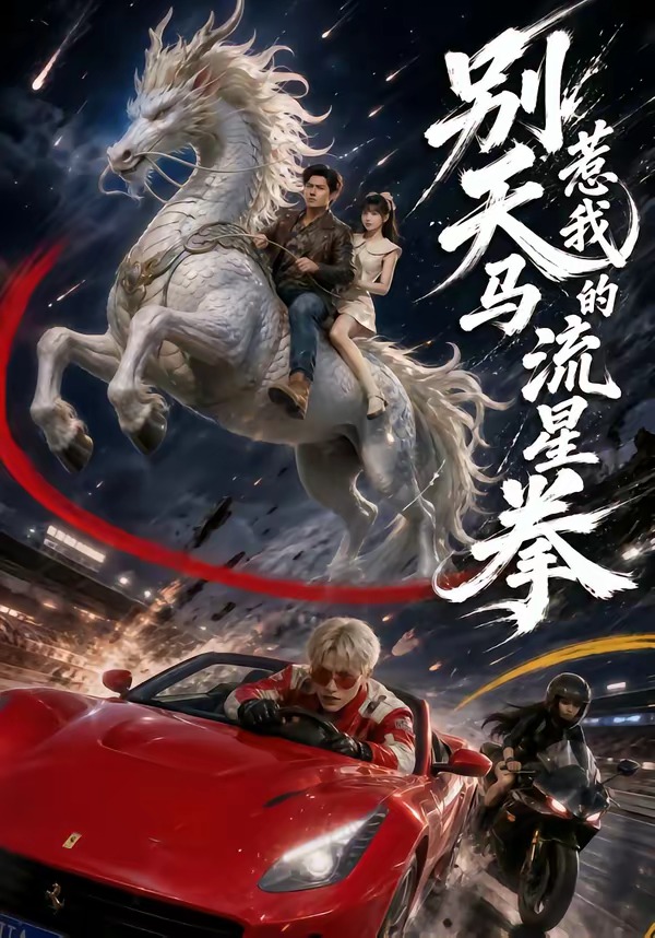 别惹我的天马流星拳海报