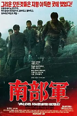 南部军[电影解说]海报