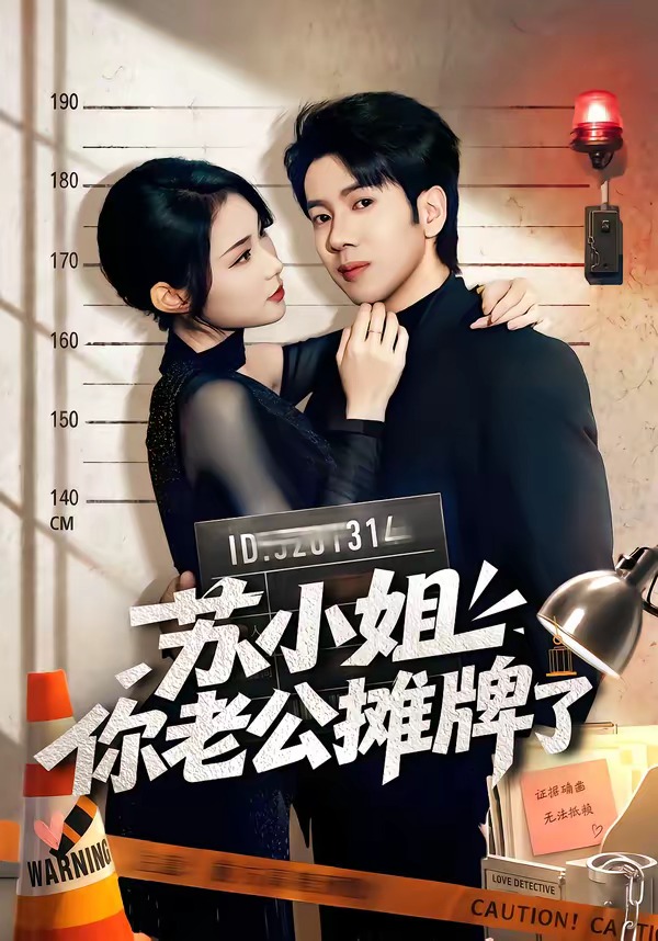 苏小姐你老公摊牌了海报
