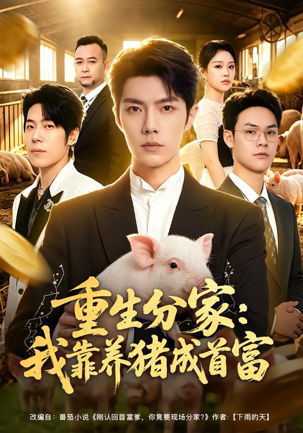 重生分家：我靠养猪成首富海报