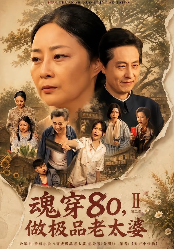 魂穿80，做极品老太婆第二季海报