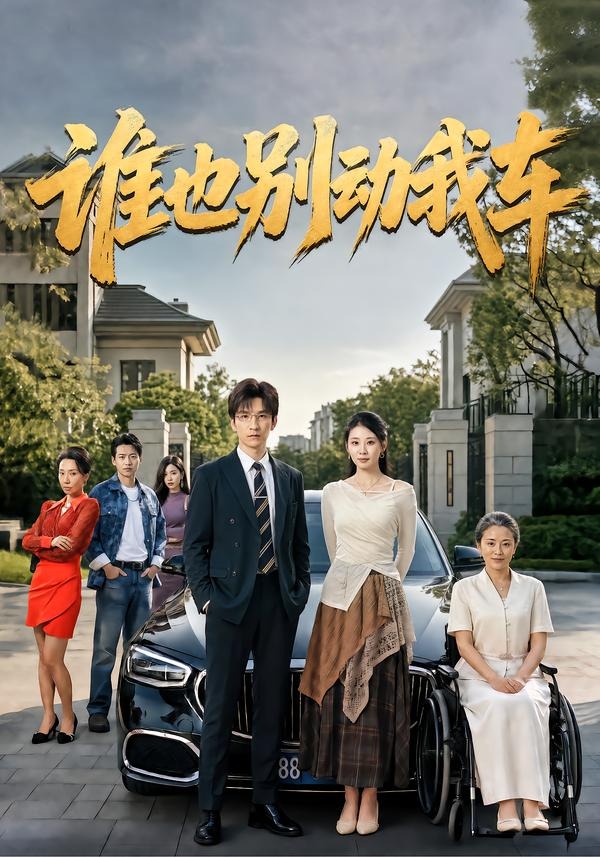 谁也别动我车海报