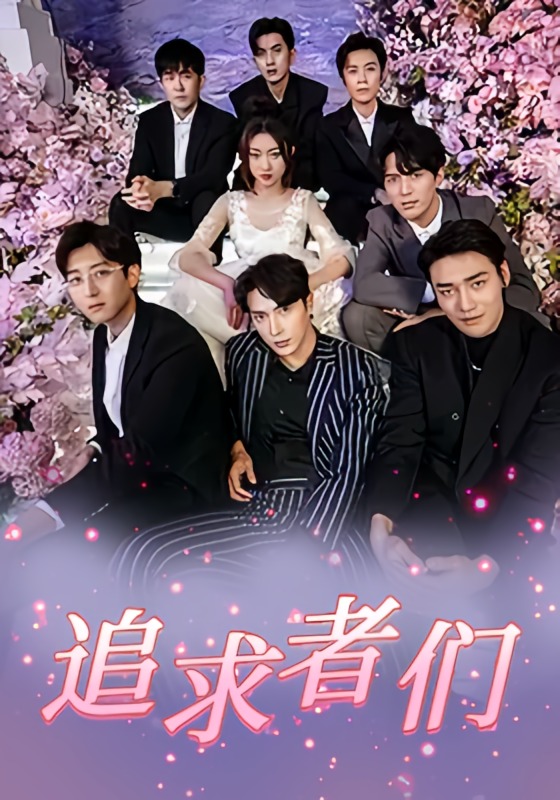 追求者们海报