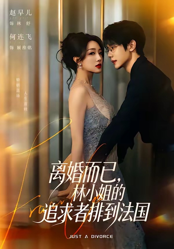 离婚而已，林小姐的追求者排到法国海报