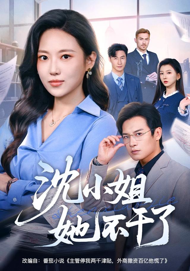沈小姐她不干了海报