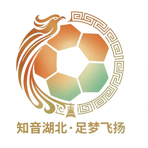 湖北省城市足球联赛 咸宁外星人队VS宜昌东阳光队20260718海报
