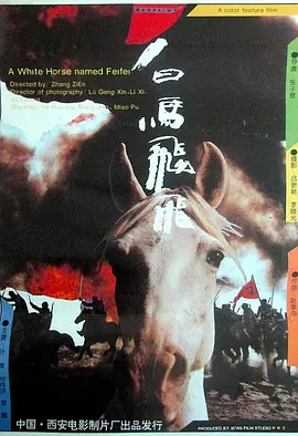 白马飞飞[电影解说]海报