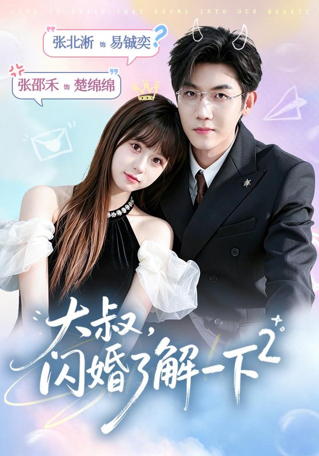 大叔，闪婚了解一下2海报
