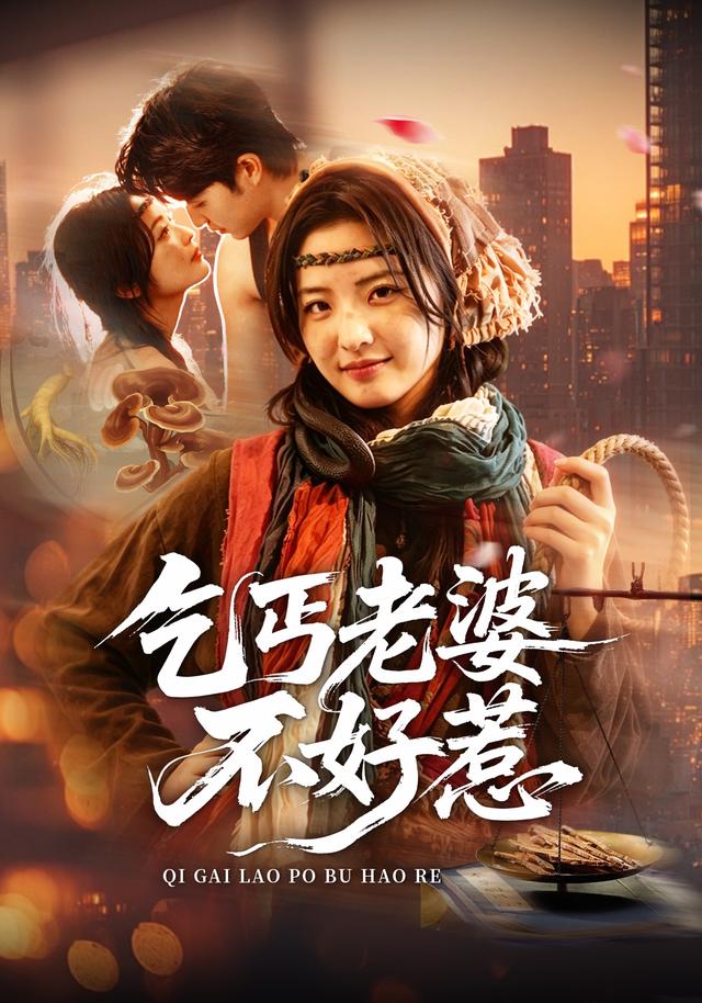 乞丐老婆不好惹海报