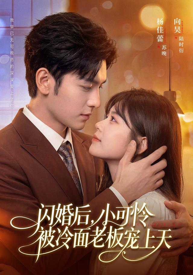 闪婚后，小可怜被冷面老板宠上天海报