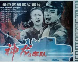 神龙车队[电影解说]海报